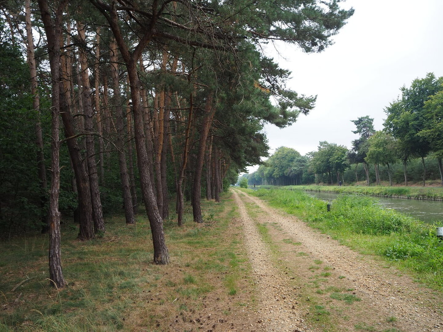 Kanaal van Beverlo naast bos