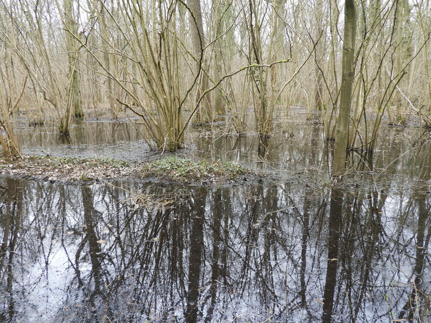 Boortmeerbeek Steentjesbos
