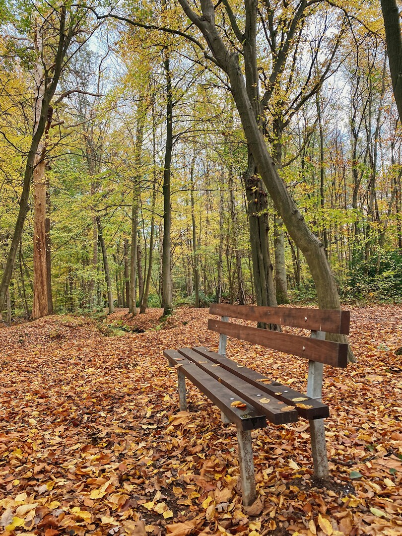 Brasschaat Peerdsbos