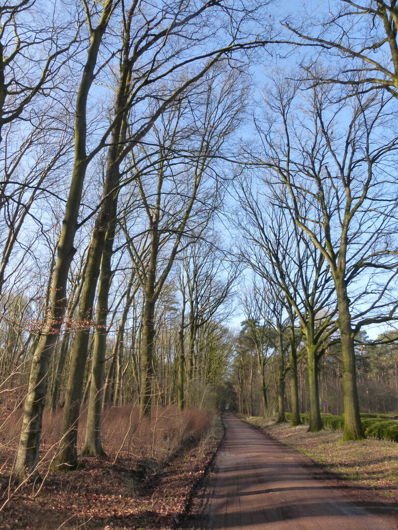 Brecht Tilburgbaan