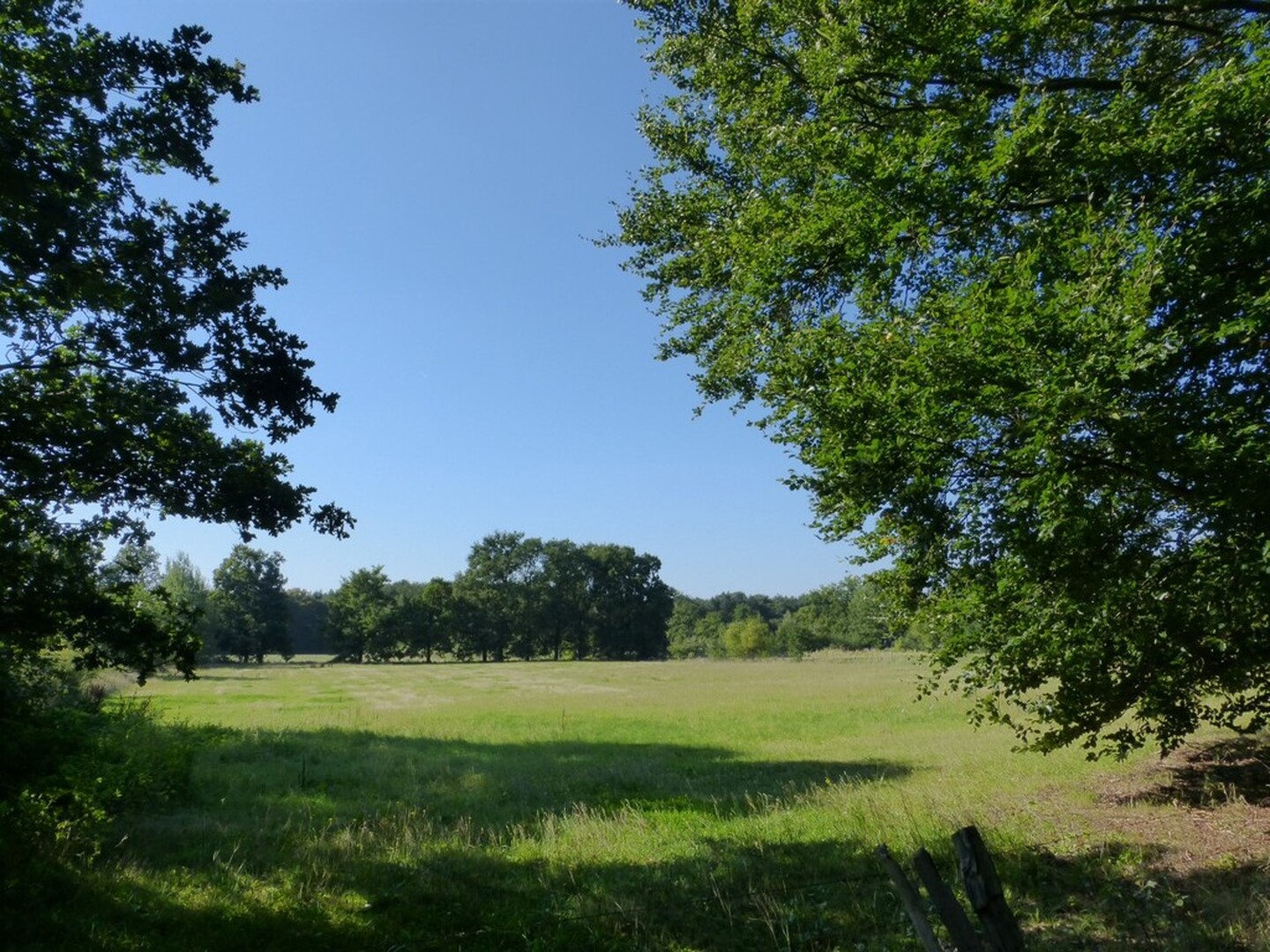 Heist-op-den-Berg Gevarieerd landschap met bomenrijen