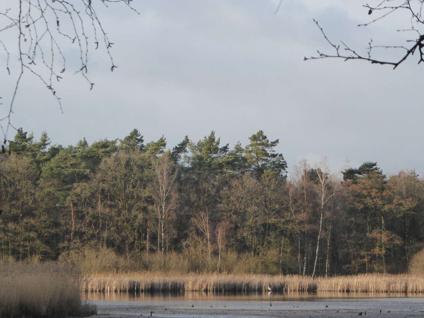 Vijvergebied tussen Laambeek en Slangebeek Heusden-Zolder