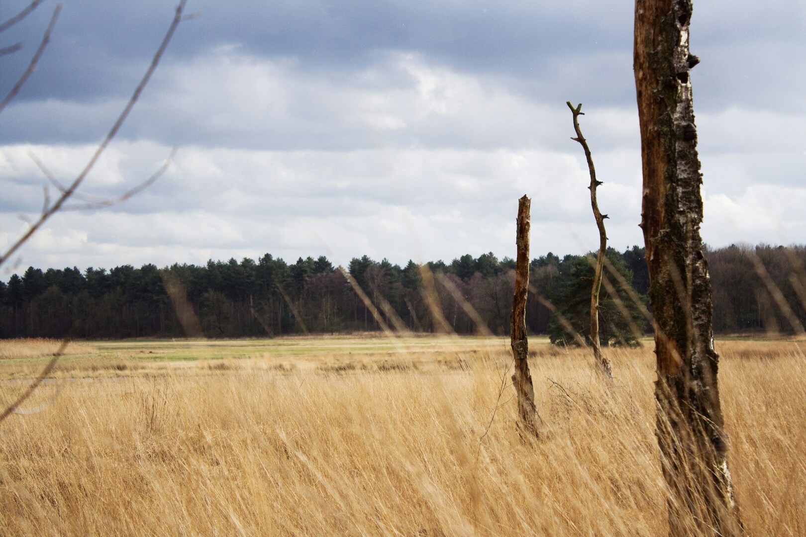 Kalmthoutse Heide