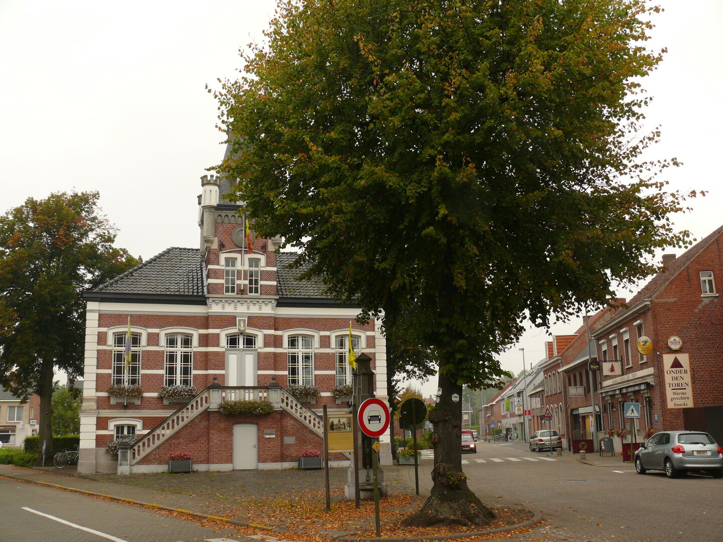 Kasterlee_Tielen_Tielendorp_Vredeslinde