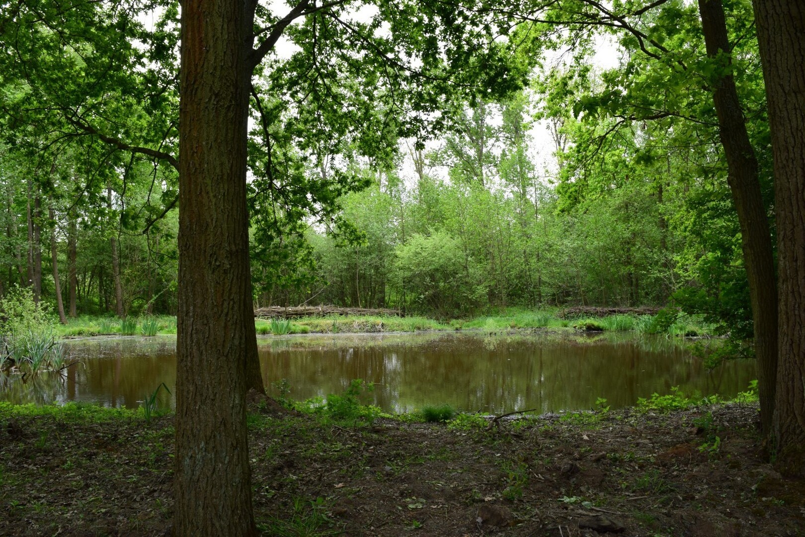Keerbergen Broekelei: oude meander