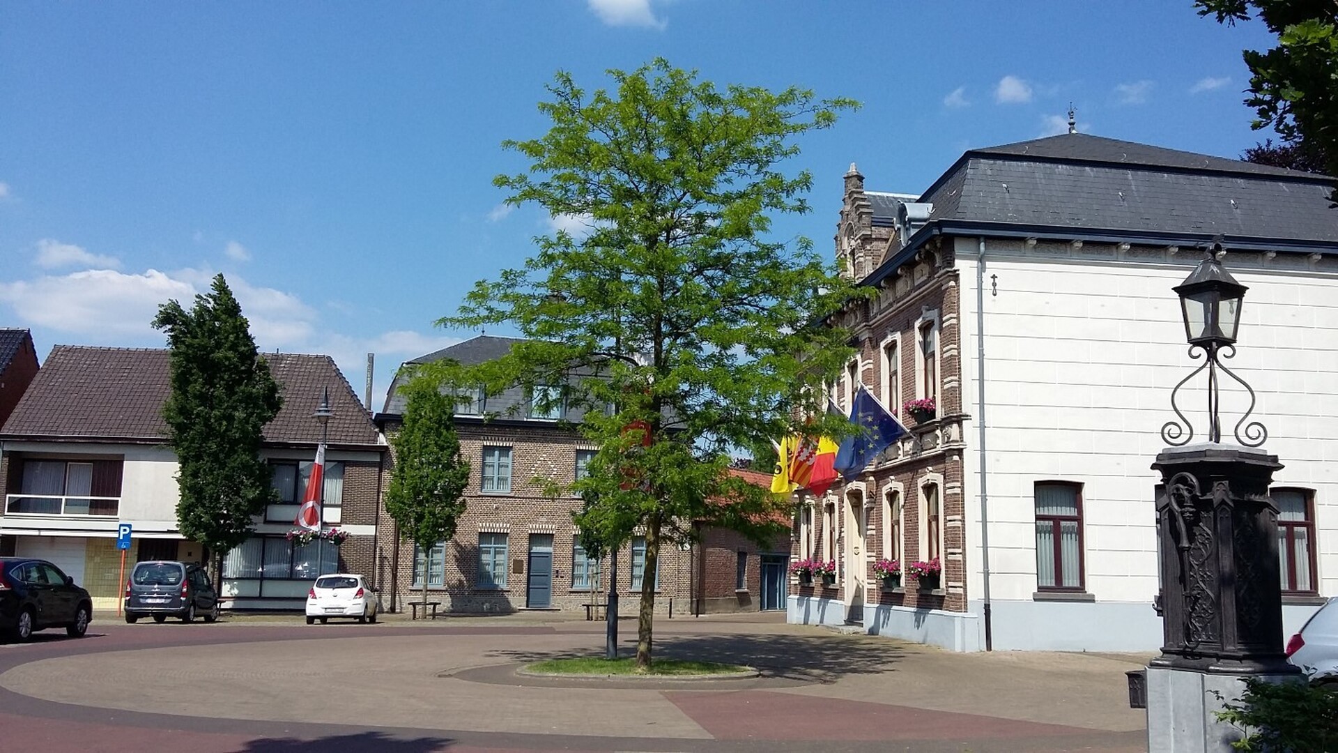 Lille Valse christusdoorn als vredesboom
