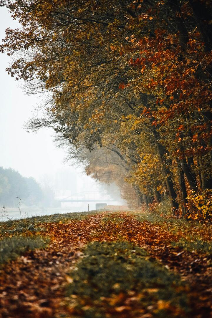 Lommel vaart