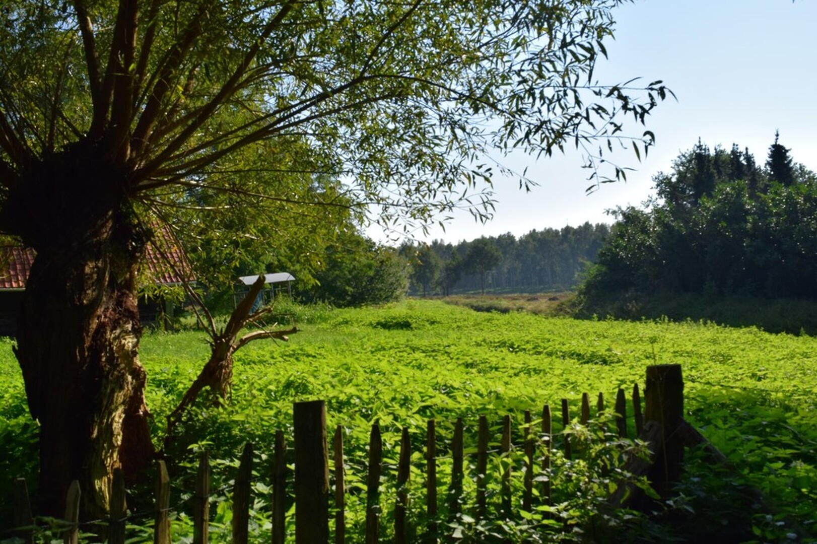 Vallei van de Zwarte Beek Lummen