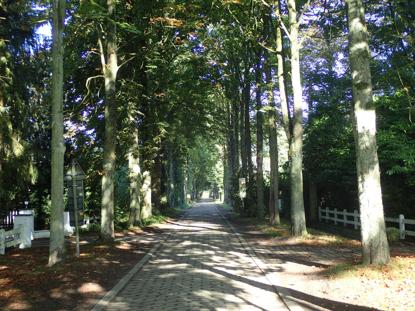 Westmalle Mostheuvellaan