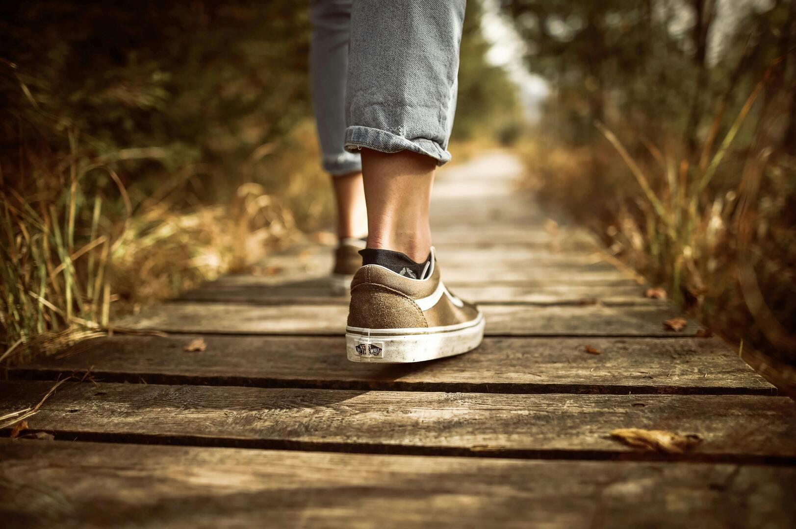 Olmen wandelpad