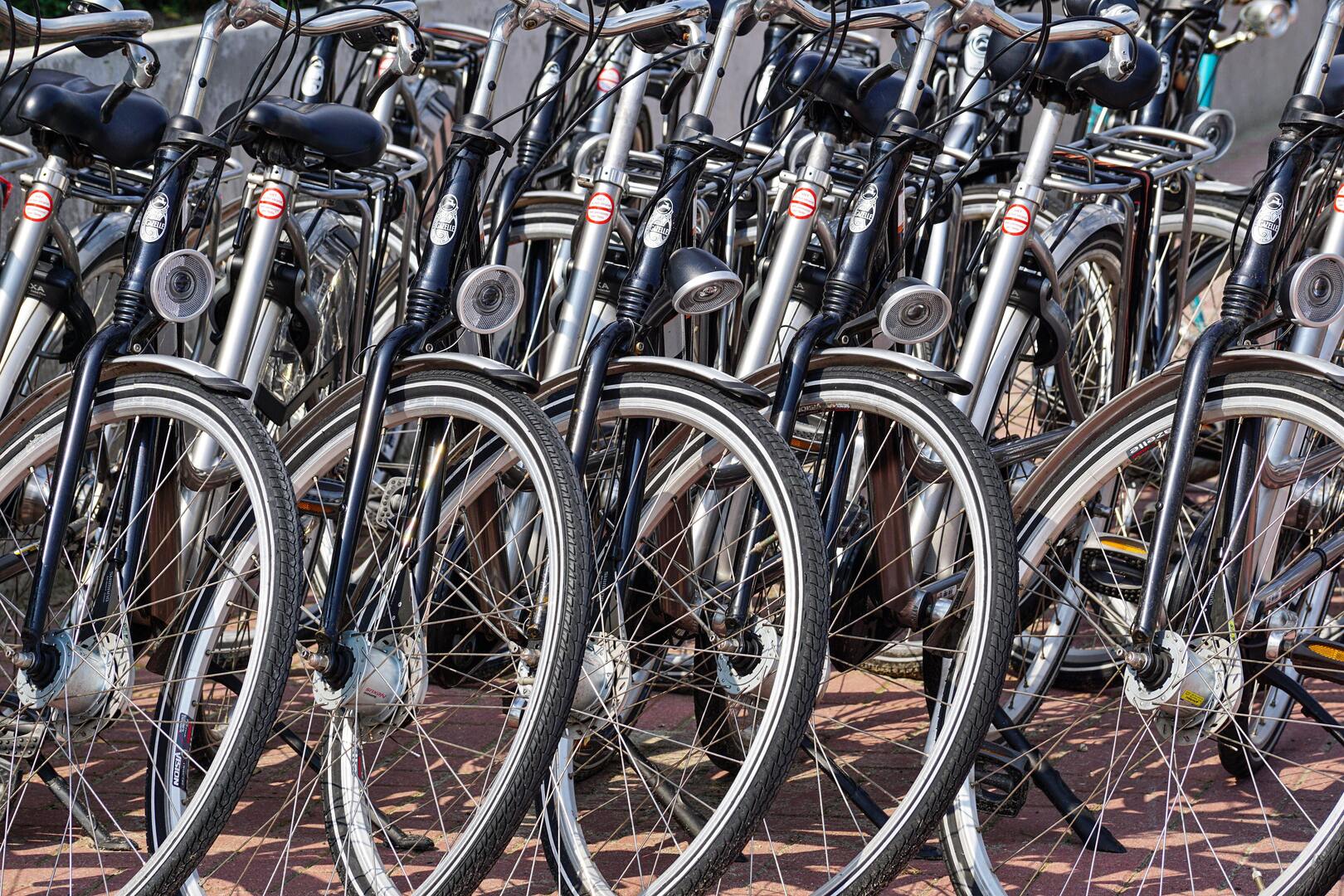 Onze-Lieve-Vrouw-Waver fietsen