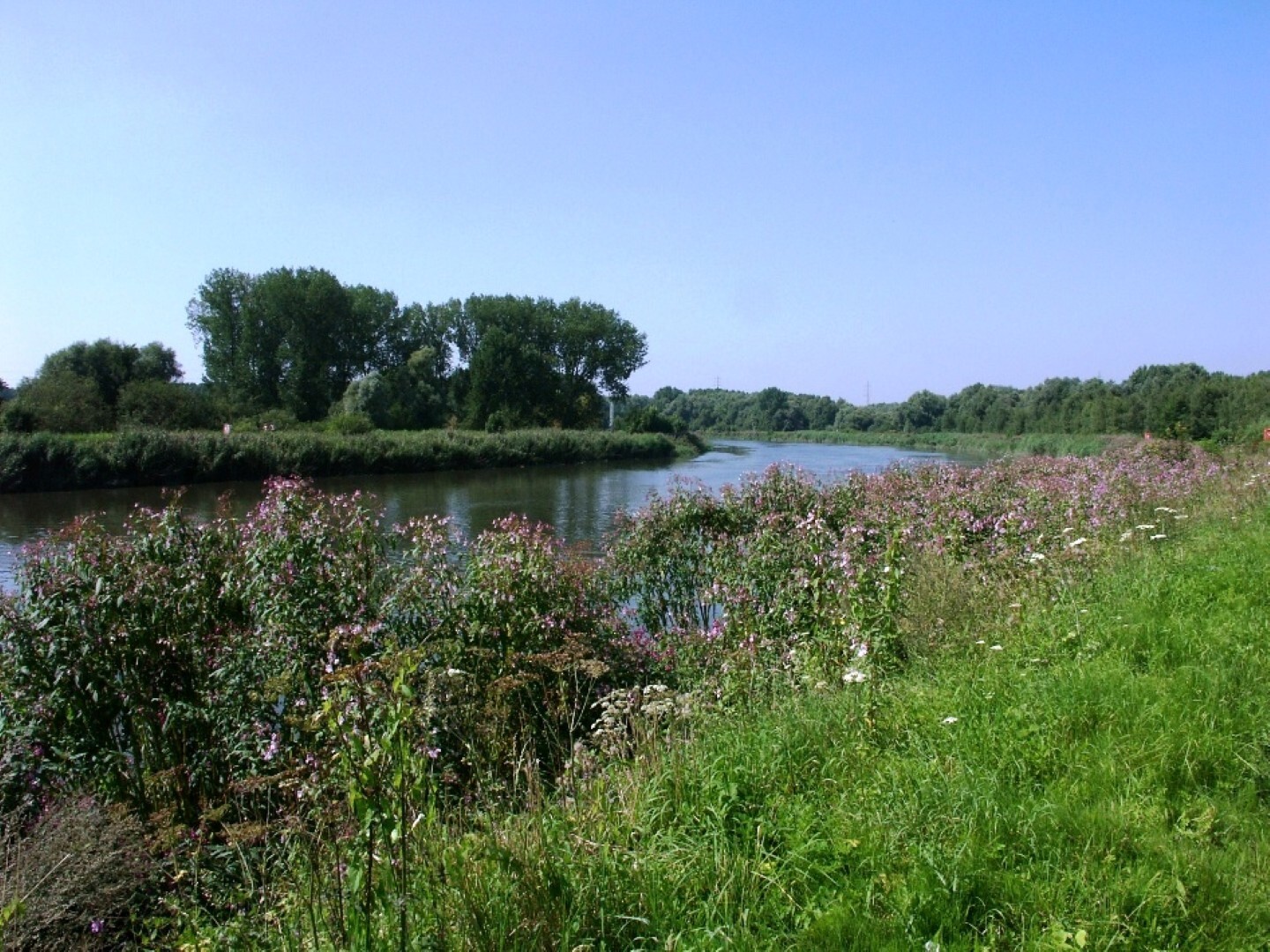 Reet Zennegat Battenbroek