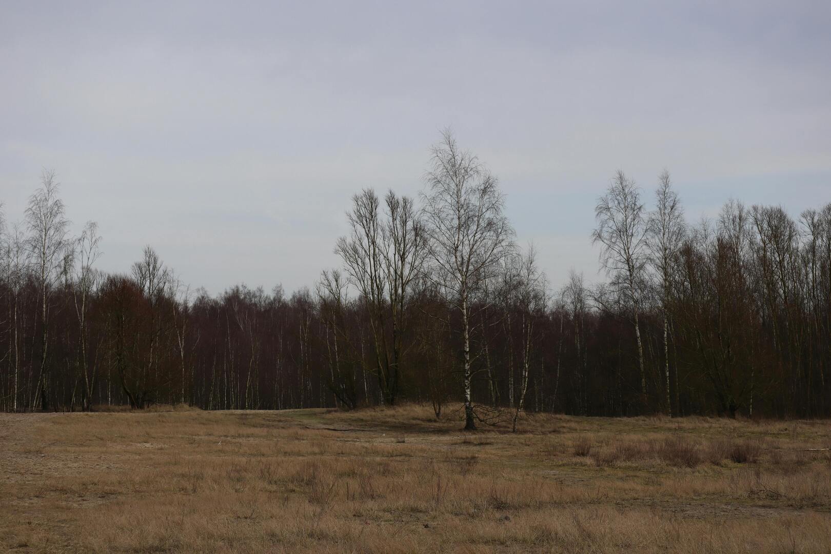 Rumst natuur