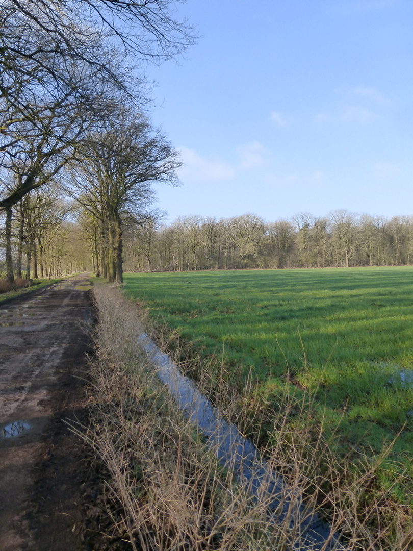 Sint-Job-in-'t-Goor Tilburgbaan