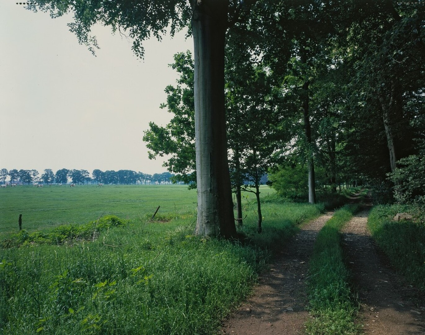 Sint-Lenaarts Dreef Domein De Hees