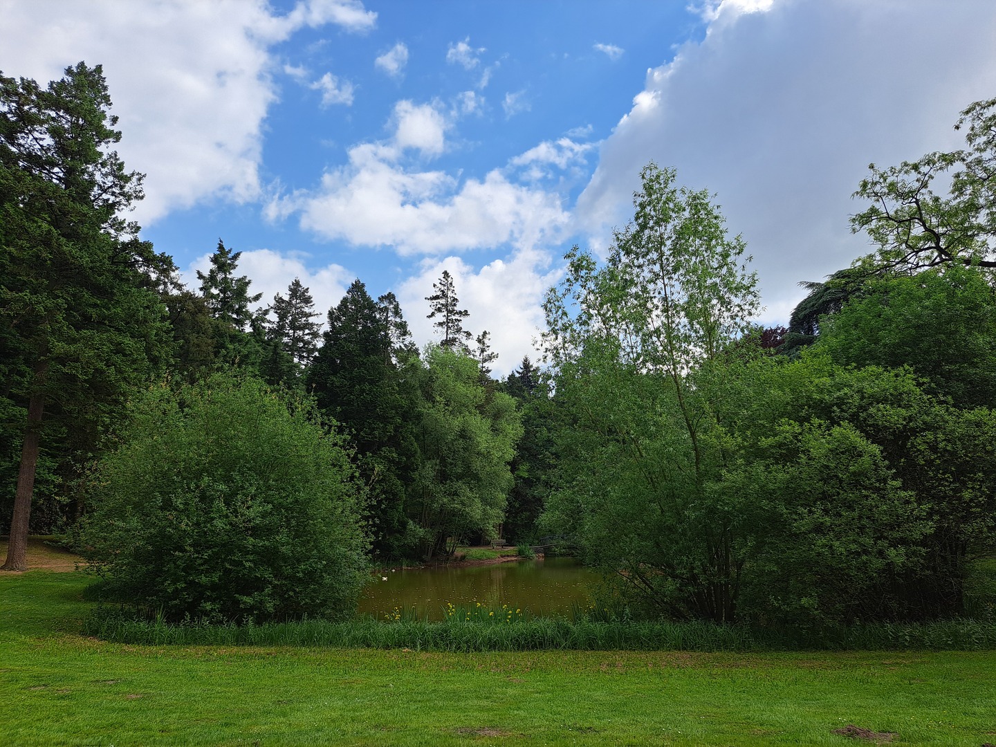 Stabroek park