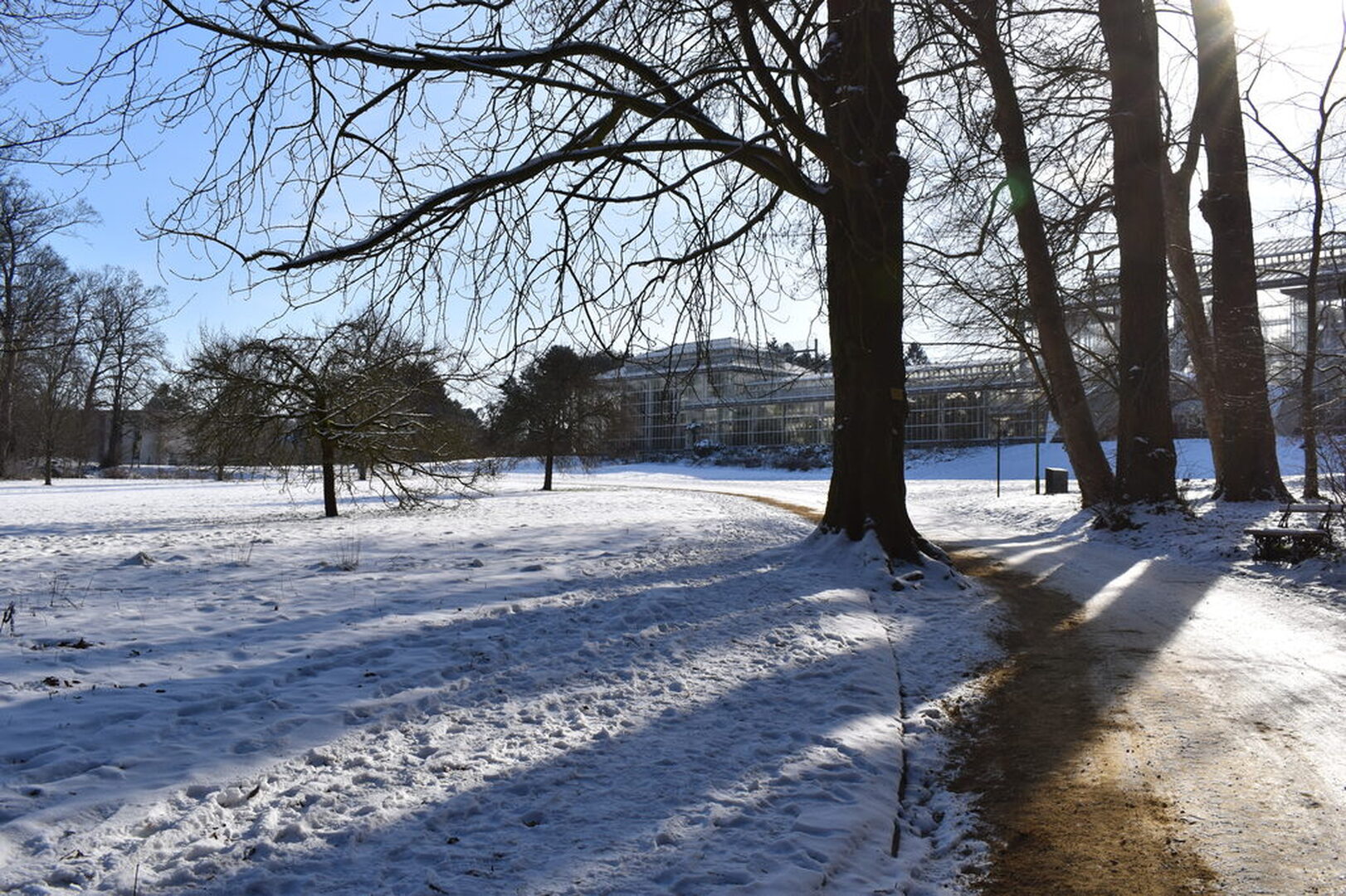 Wemmel Kruidtuinlaan 2 plantenpaleis